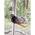 Pikkukuva 4 / 5: Chicken Swing Toy For Coop Natural Safe Puiset tarvikkeet . Suuret kestävät ahventikkaat siipikarjalle juoksevat kukkot kanat poikaset Lemmikkipapuukaijat ara Entertai