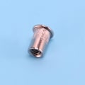 Miniatyrbild 5 av 5: 100 st 304 Rostfritt Stål Nitmutter Rivnut Insatsmutter M6x15mm