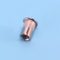 Miniatyrbilde 5 av 5: 100 stk. 304 Rustfritt Stål Blindmutter Rivnut Innsettingsmutter M6x15mm