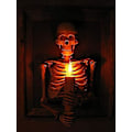 Miniatyrbillede 1 af 5: Indrammet 3D Skelet Torso Lys