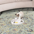 Pikkukuva 3 / 4: Pounce Cat Toy, interaktiivinen automaattinen lelu, säädettävä elektroninen akkukäyttöinen lelu