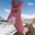 Miniatyrbild 2 av 5: Stickade Krokodilsockor för Kvinnor Män Nya Djur Hajsockor Roliga Alligatorsockor fish