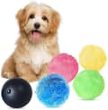 Automatisk Rullande Magisk Boll För Hund