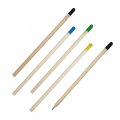 Miniatyrbild 5 av 5: 10x Planterbara pennor Miljövänliga DIY Krukväxt Grow Pencils Gro-pennor