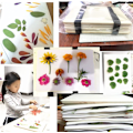 Miniatyrbild 4 av 4: Blompresskit, Träetsningskit för Professionell Prägling av Växtblad