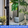 Miniatyrbillede 3 af 5: 2 stk Led spotlys indendørs til planter, 3 farver accentbelysning Dæmpbare uplights Spotlight lampe med lysdæmper