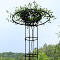 Miniatyrbild 3 av 5: Vertikalt Trädgårdsstöd i Metall, Metallparaply Högt Växtstöd, Växtstöd för Klätterväxter och Blomsterställ, Ingen Montering Krävs