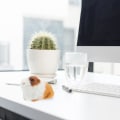 Miniatyrbild 3 av 4: Stich Plysch Realistisk Plysch Marsvin Leksak Muffad Marsvin Plysch Realistisk Muffad Marsvin Marsvin Plyschleksak