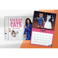 Miniatyrbild 1 av 2: Scaredy Cats 2024 Kalender, Scaredy Cats 2024 Månadskalender, Kattkalender 2024, Söta Katter Väggkalender 2024, Gåva Till Kattälskare 1pcs