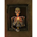 Miniatyrbillede 5 af 5: Indrammet 3D Skelet Torso Lys