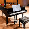 Miniatyrbild 3 av 4: A4 Notbladshållare för Piano - Vattentät - Svart