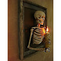 Miniatyrbillede 2 af 5: Indrammet 3D Skelet Torso Lys