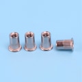 Miniatyrbilde 2 av 5: 100 stk. 304 Rustfritt Stål Blindmutter Rivnut Innsettingsmutter M6x15mm