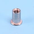 Miniatyrbild 4 av 5: 100 st 304 Rostfritt Stål Nitmutter Rivnut Insatsmutter M6x15mm