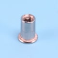 Miniatyrbilde 4 av 5: 100 stk. 304 Rustfritt Stål Blindmutter Rivnut Innsettingsmutter M6x15mm