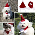Miniatyrbillede 2 af 6: Hund og Kat Julemandshue + carf W S