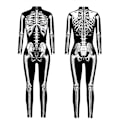 Miniatyrbillede 3 af 5: Halloween-skeletdragt til børn og voksne, behagelig Onesie Jumpsuit Tak!！ Black M