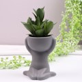 Miniatyrbillede 8 af 10: Sukkulente plantepotter plantepotter SORT 2 2 sort black 2-2