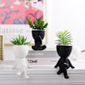 Miniatyrbillede 5 af 10: Sukkulente plantepotter plantepotter SORT 2 2 sort black 2-2