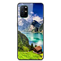 Pikkukuva 2 / 2: Fantasy OnePlus 8T kotelot - Talo Multicolor