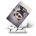 Miniatyrbild 2 av 2: Lenovo Tab M10 FHD Plus flipfodral i läder med coolt mönster - Kattunge Vit