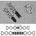 Miniatyrbillede 6 af 6: Samsung Galaxy Watch 5 / 4 urrem med rhinestone-dekor - Sort Black