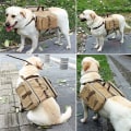 Pikkukuva 3 / 3: Koiravaellusreppu Koirareput, Hound Travel