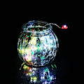 Miniatyrbillede 1 af 5: Batteridrevet 5m 50LED Hjertelysstreng Fest Julelampe