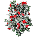 Miniatyrbillede 1 af 2: 2 stk. Rose Vine Kunstige Rose Blomster Vines 10 Hoveder