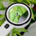 Miniatyrbillede 2 af 5: Forstørrelsesglas Loupe LED Ultraviolet Pengedetektor