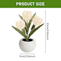 Miniatyrbillede 3 af 3: LED Natlampe Hjemmedekoration Med Keramik Vase Ornament Skrivebord Simulation Tulip White