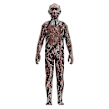 Miniatyrbild 1 av 5: Stranger Things Barnkläder Jumpsuit Fancy Up Kostym 9-10 Years