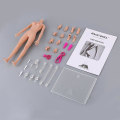 Miniatyrbilde 4 av 5: Jiaou Doll 1/6 Skala Kvinnelig Kropp Stor Bryst Versjon 3.0 Hodeløs Skjelett