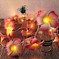 Miniatyrbillede 4 af 5: 20 LED Blomsterlysstreng Bryllupsguirlande Batteri USB Drevet