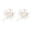 Miniatyrbillede 1 af 4: 2 stk. Hårpinde Brud Hårstyler Rhinestone Hårklip Bryllup Krystal Hårnål