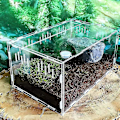 Miniatyrbillede 3 af 5: Transparent Reptilkasse Akryl Opdrætstanke 29cm Firben
