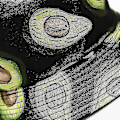 Miniatyrbild 4 av 4: Unisex Vändbar Packbar Bucket Hat, Solhatt för Män Kvinnor, Avocado Print Dubbelsidig Bärbar Vändbar Bucket Hat