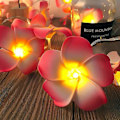 Miniatyrbillede 2 af 5: 20 LED Blomsterlysstreng Bryllupsguirlande Batteri USB Drevet
