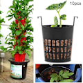 Miniatyrbillede 4 af 4: 10 stk. Plastik Net Pot Hydroponisk Aeroponisk Plante Kurve