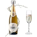 Miniatyrbillede 5 af 5: Champagnepropper til mousserende vin - Rustfrit stål vakuumprop 1 stk - sølv