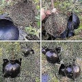 Miniatyrbilde 2 av 2: 12 stk Plante Rooting Enhet Poding Høytrykks Rotvekst