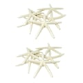 Miniatyrbilde 1 av 5: 24 stk Hvite Finger Sjøstjerner 5-10cm Dekorative Fem-finger Sjøstjerner-yuhao