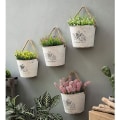 Miniatyrbild 2 av 3: Metallhängande Blomkruka för Inomhusväggdekor