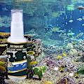 Miniatyrbild 3 av 5: 30ml Effektiv Akvarieałgkontroll Renare Vattenkvalitet