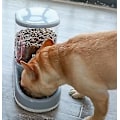 Miniatyrbillede 4 af 5: Foderopbevaring Automatisk Foderautomat til Hunde og Katte Drikkeskål