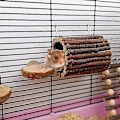 Miniatyrbillede 3 af 5: Hamster Tyggelegetøj Tunnel Bro Æbletræ Bur Legetøj