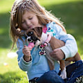 Pikkukuva 4 / 5: XS-L Kong Puppy -koiran lelu, valittavana koiran herkku