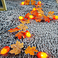 Miniatyrbild 1 av 5: Ek & Lönnlöv Fairy String Lights Höst 2m 10led Batteri Jul