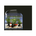 Miniatyrbillede 4 af 4: Akvarie Lys LED Klips Lys Akvarie Lys LED Lys Hvid Og Blå Nano Klips Belysning