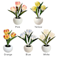 Miniatyrbillede 2 af 3: LED Natlampe Hjemmedekoration Med Keramik Vase Ornament Skrivebord Simulation Tulip Orange
